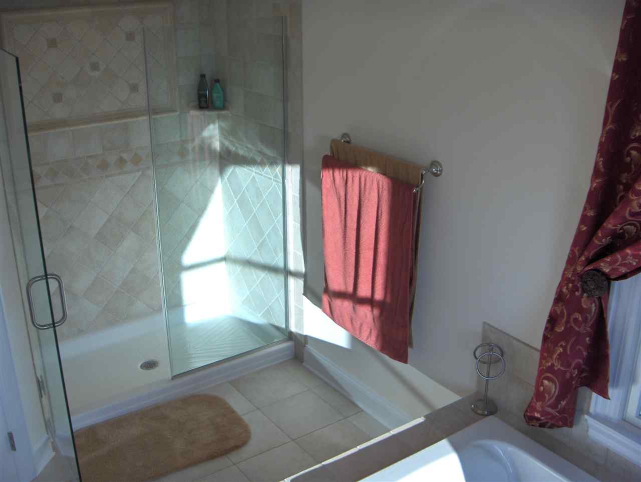 resized-2349823-Master Shower2.JPG